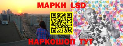 стафф Камышлов