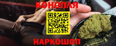 стафф Камышлов
