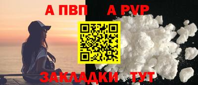 стафф Камышлов