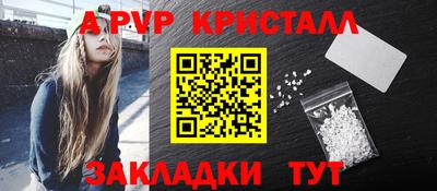 стафф Камышлов