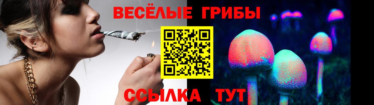 Галлюциногенные грибы ЛСД  Вход с VPN  Краснознаменск  Галлюциногенные грибы мухоморы 