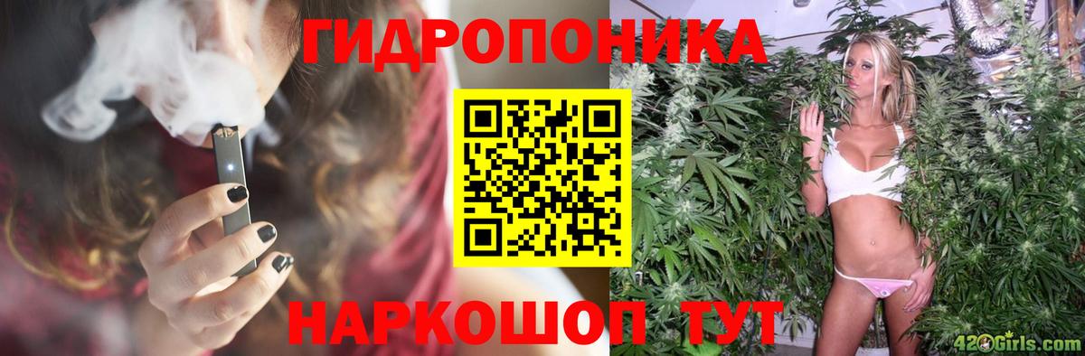 Шишки марихуана гибрид Краснознаменск
